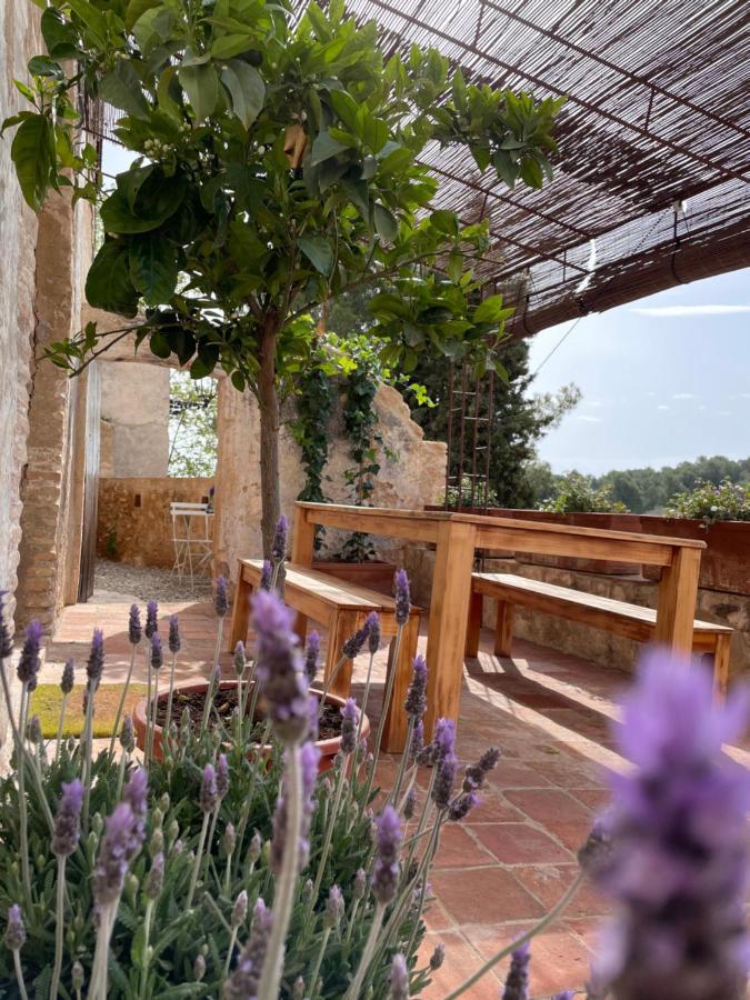 Casa Rural Con Jardin,A 8Km Playa Y En La Naturaleza Taronja&Canyella Ardenya Exterior photo