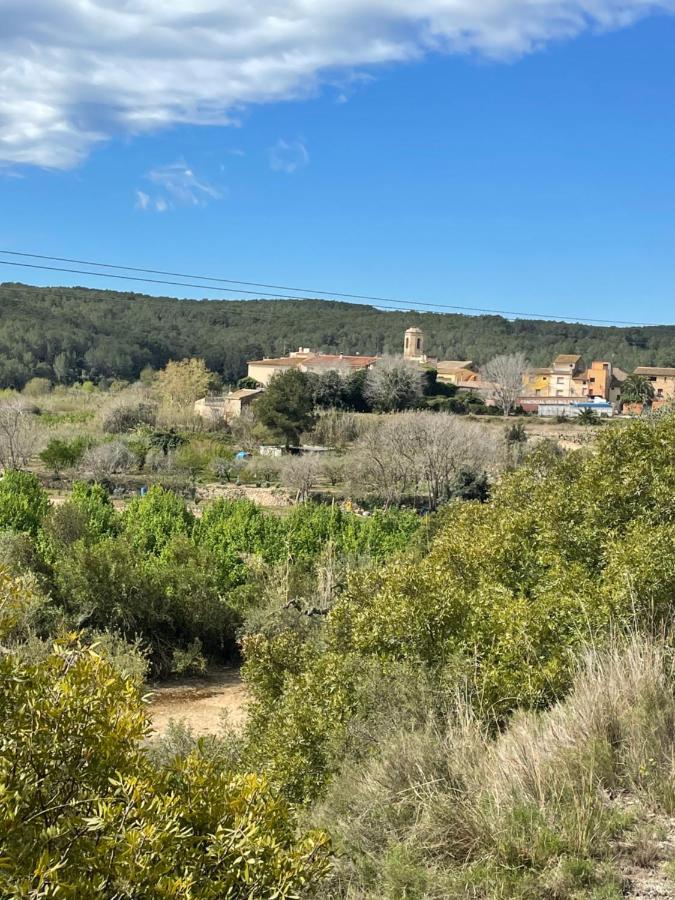 Casa Rural Con Jardin,A 8Km Playa Y En La Naturaleza Taronja&Canyella Ardenya Exterior photo