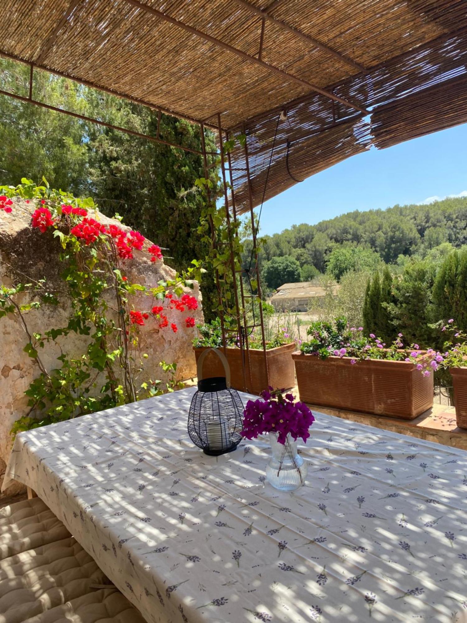 Casa Rural Con Jardin,A 8Km Playa Y En La Naturaleza Taronja&Canyella Ardenya Exterior photo