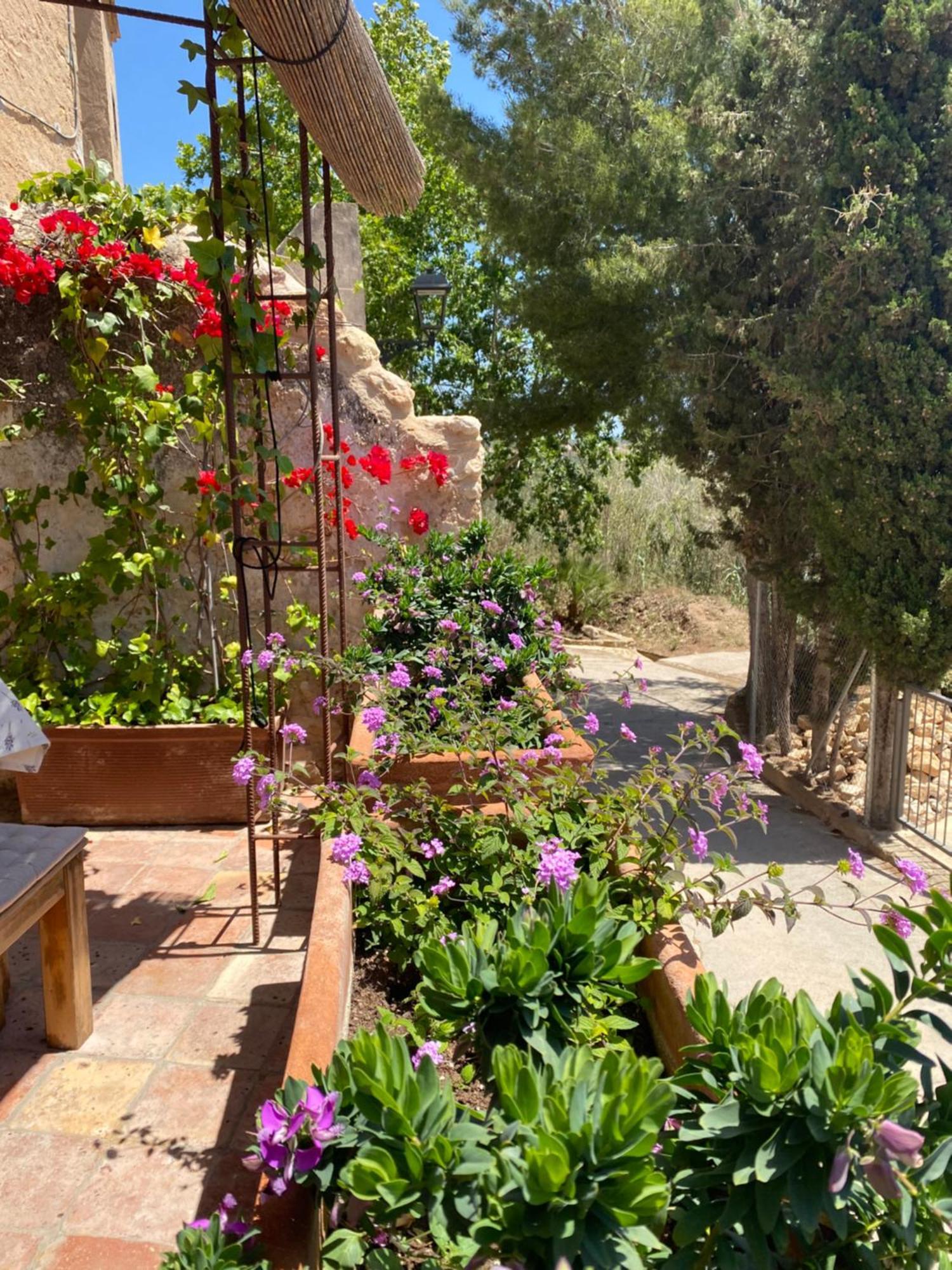 Casa Rural Con Jardin,A 8Km Playa Y En La Naturaleza Taronja&Canyella Ardenya Exterior photo